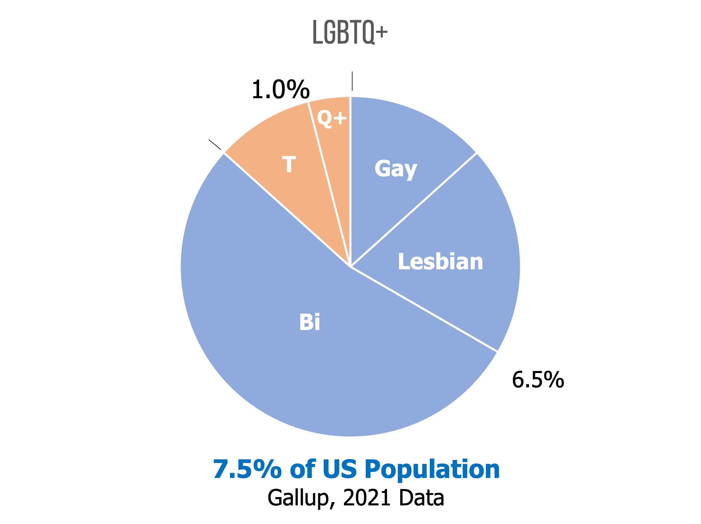 pie chart LGBTQ+