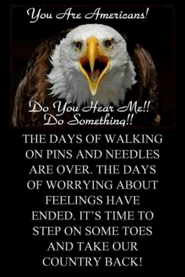 You Are Americans Time To Do Something