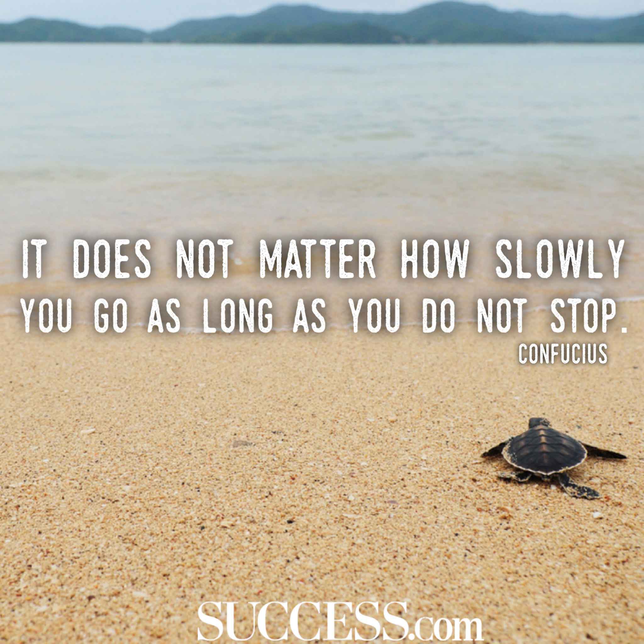 Never Give Up